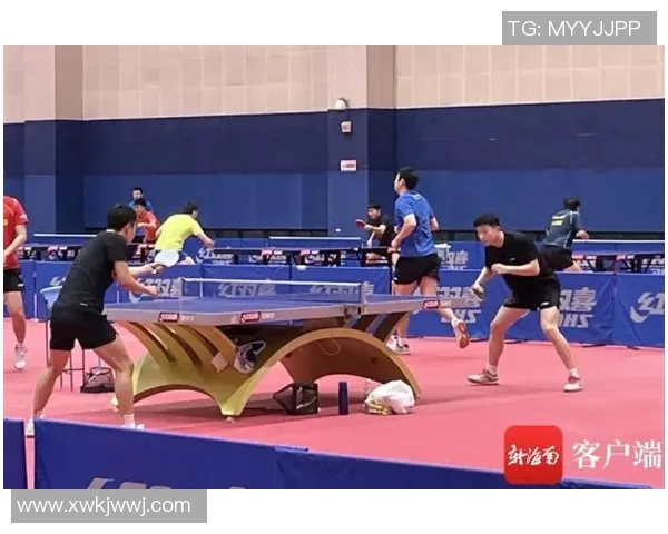 上海羽毛球队的节奏革新探索与实践：重塑竞技风格与团队协作新模式